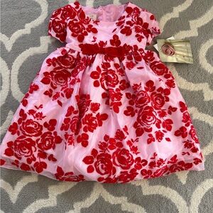 Red and Pink Floral Velvet Dress